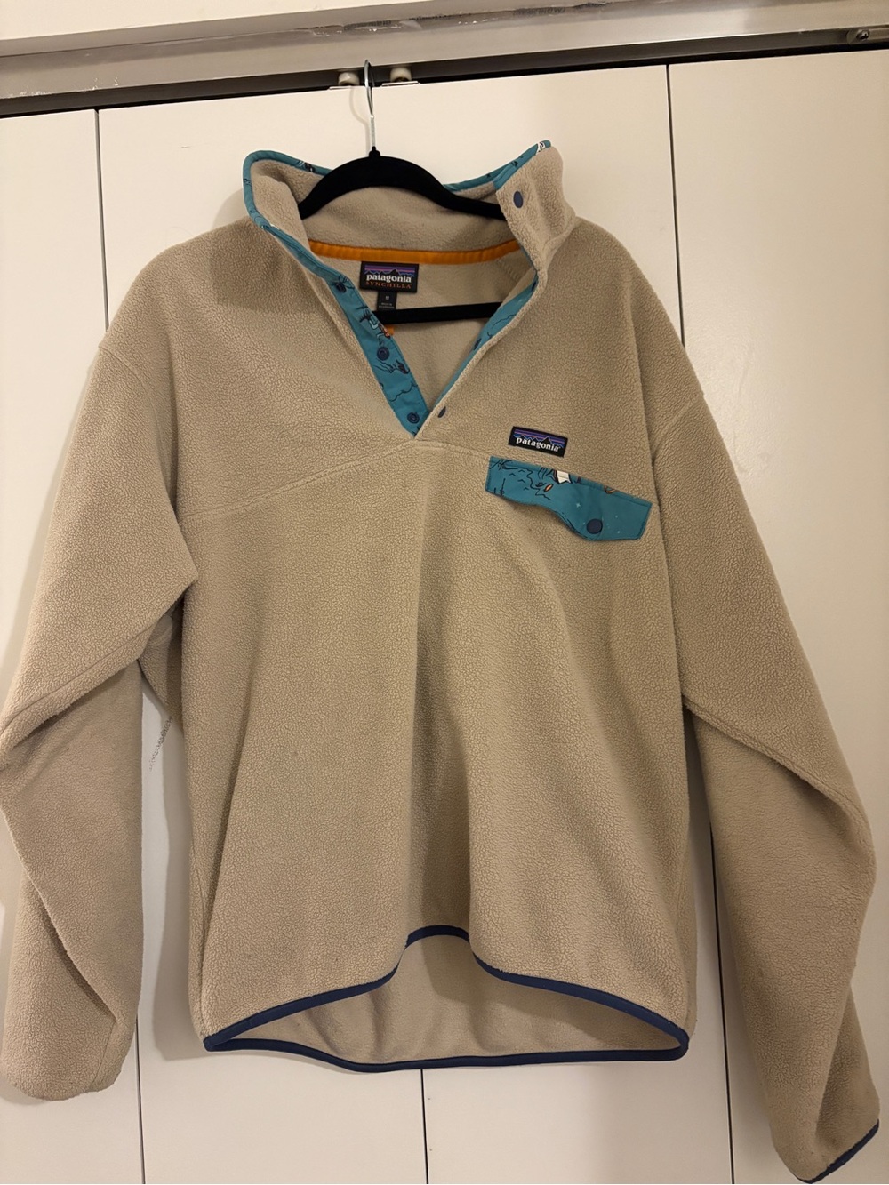 Patagonia Beige Fleece Pullover with Teal Accent Trim
